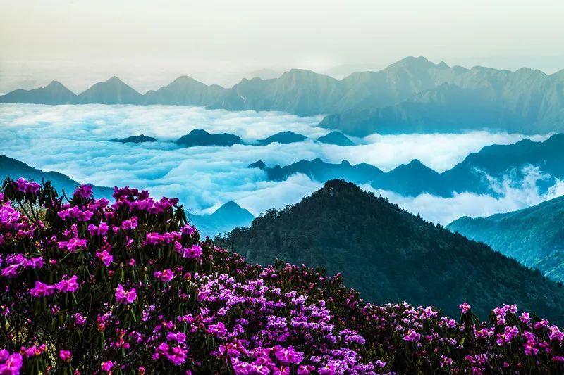 去日本出差，我一个人吃了一个两斤重的生蚝，结账时我愣住了！